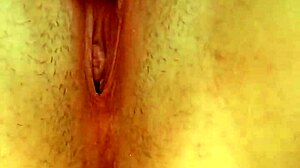 british whore solo fucking hairy cunt with dildo