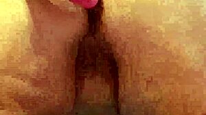 chubby pussy masturbation with toys and dildo