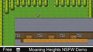This moaning heights NSFW demo is hot in 3D porn.
