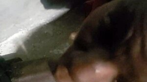 Verification Video Part One