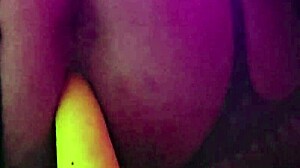 hey, watch me riding my porcelain horse like a pro