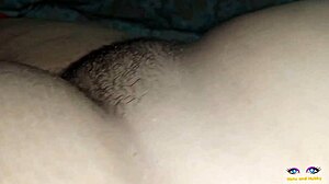 Indická krása Netu Bhabhi predvádza veľké prsia a chlpatú piču!