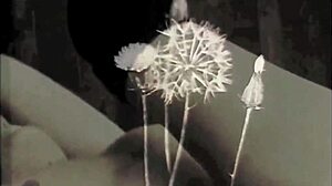 Yo, dive into my secret life with vintage erotic tales!