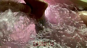 Did you see mamãe noel masturbating to orgasm?