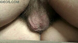 Varljiva žena prejme velik creampie v plodno muco za nosečnost