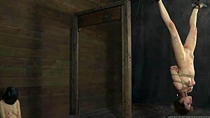 Angel Gets Lusty Facial Castigation