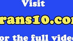 可愛いトラニーが硬チンポを一人でシゴく