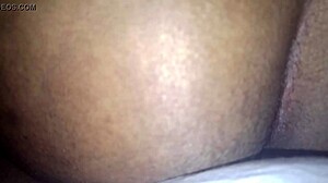 Watch curvy ebony Chanel B strip tease and pleasure herself now?