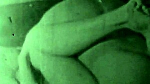 Two Centuries Of Vintage Pussy!