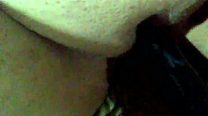 Black Dildo In Bound Mouth