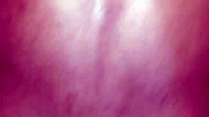 Did you eat the boy from the favela?