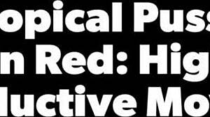 Tropicalpussy teases in red high heels with alluring ebony features.