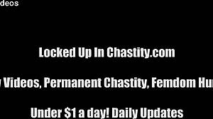 Dare to Wear Chastity Device?