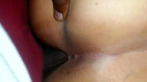 Whoa, check this wet fat pussy and ass action!