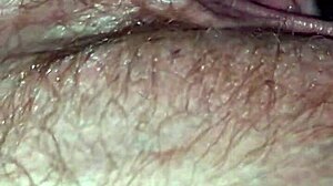 It was husband’s deft sensual starters that made Deedogg make more demanding demands