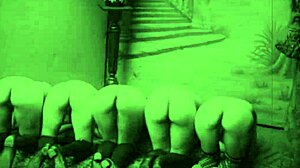 European Vintage Pornography Featuring Hairy British Antique Retro Scenes