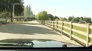 lustful teen honey showers before diving into hot hardcore sex with intense licking.