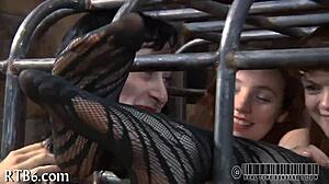 free sadomasochism erotica stories