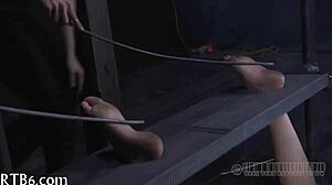 Collaring for lovely honey