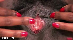 Fucked This Cutie All Sunset Until Darkness Fell