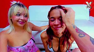 intense pov of deep passionate blowjobs in orgy