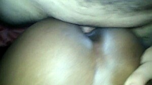 Brazilian girl cums with black guy