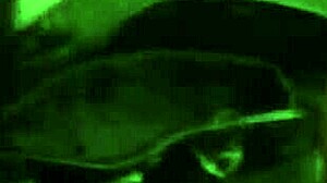 Latina sucking monster cock in couple scene 😍