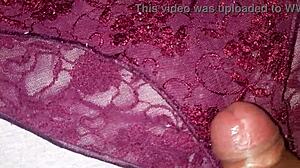 Masturbating with best friend's used lace panties in USA.