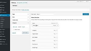 Latina earns money with anal cumshot 😏