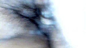 Intriguing Gay Trim Video From September 21, 2017