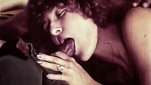 ヴィンテージの異人種タブー、レトロスタイルで展開