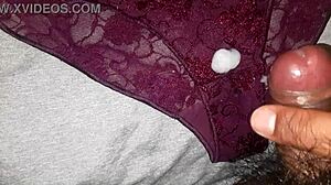 Masturbating with best friend's used lace panties in USA.