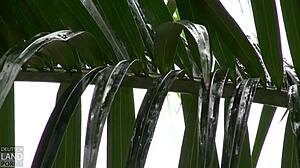 jasmine rouge loves pissing during sex?