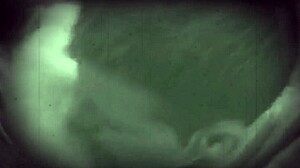 My gay world features hot sex shows