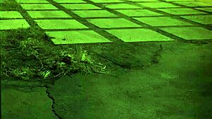 high definition bdsm with squirt and rough doggy style bondage