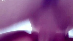 meu bb