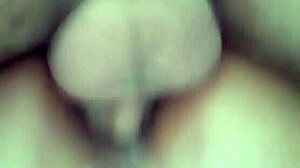 meu bb