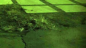 arrested for bondage and public sex domination