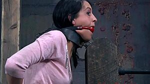 Whipping a Bound Playgirl into Naked Orgasmic Submission