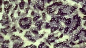 Me Le Meti A La Cama A Mi Hijastra!