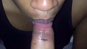 Ebony Gay Guy Loving Interracial Dick Sucking