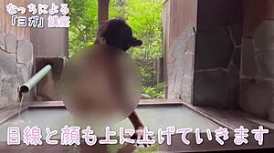 Acrobatic Performances In A Relaxing Hot Spring Setting