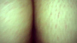 trim 31fb32d4-f8be-4158-8b92-dad9f9a59ea0 mov