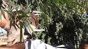 Hot suck and fuck in the 420 patch, guys getting wild with oral and anal.