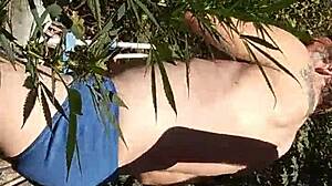 Hot suck and fuck in the 420 patch, guys getting wild with oral and anal.