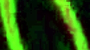 Varför längtar BBC Meximilf-slut Gabby Quinteros så efter en annan monster svart kuk?