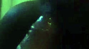 Watch me sell tv and suck husband's cock in swung film