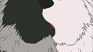 이건 재능 있는 아티스트 할라카디라의 다양한 애니메이션 슈퍼 컴필레이션