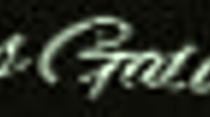 Zorra Enjoys The Holiday Party With Young Friends