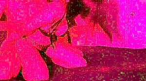 Lazycatdoll In Punk Jeans And New Lingerie Gets Fingered For A Sexy Orgasm